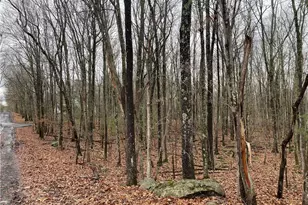 15 Mimosa Rd, East Stroudsburg, PA 18302 - Photo 5