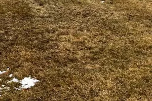 0 Crestview Dr, North Manheim Twp, PA 17972 - Photo 3