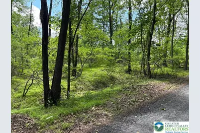 1st Street, Portland Boro, PA 18351 - Photo 3