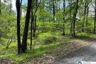 1st St, Portland Boro, PA 18351 - Photo 3