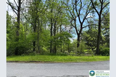 1st Street, Portland Boro, PA 18351 - Photo 1