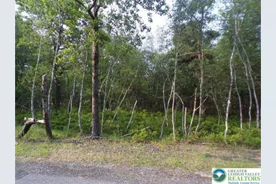 Claremont Drive #Lot 4403, Tunkhannock Twp, PA 18210 - Photo 3