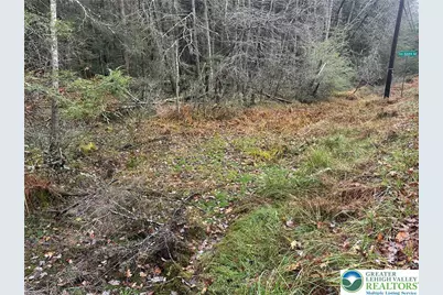 Mills Drive, Kidder Twp, PA 18210 - Photo 5