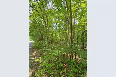 Dowbush Road, Mahoning Twp, PA 18235 - Photo 1