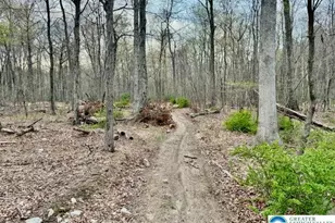 9170 N Loop Rd, Washington Township, PA 18080 - Photo 3