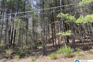 2 Haney Rd, Polk Twp, PA 18058 - Photo 3