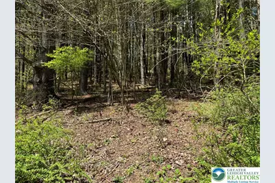 2 Haney Road, Polk Twp, PA 18058 - Photo 11