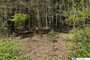 2 Haney Rd, Polk Twp, PA 18058 - Photo 11