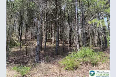 2 Haney Road, Polk Twp, PA 18058 - Photo 7