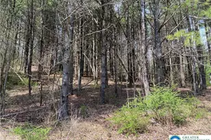 2 Haney Rd, Polk Twp, PA 18058 - Photo 7