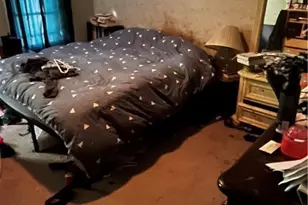 305 E Union St, Tamaqua Boro, PA 18252 - Photo 9