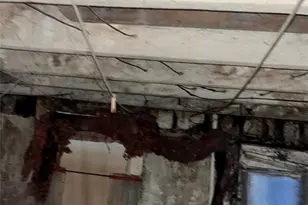 115 N Locust St, Other, PA 17851 - Photo 17