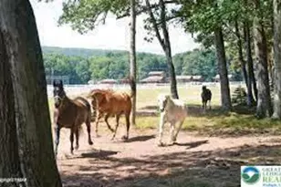 384 Blue Mountain Dr, Luzerne, PA 18202 - Photo 5