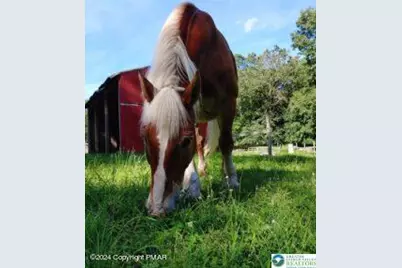 Lot 151 Bear Drive, Pike, PA 18324 - Photo 7