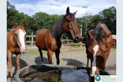 Lot 151 Bear Drive, Pike, PA 18324 - Photo 5