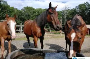 Lot 151 Bear Dr, Pike, PA 18324 - Photo 5