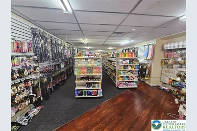 915 W Hamilton Street, Allentown City, PA 18101 - Photo 45