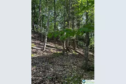 September Circle #Lot 46, East Stroudsburg, PA 18301 - Photo 7