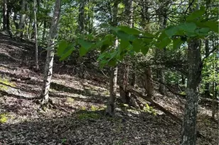 September Circle, East Stroudsburg, PA 18301 - Photo 7