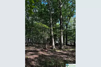 September Circle #Lot 46, East Stroudsburg, PA 18301 - Photo 9