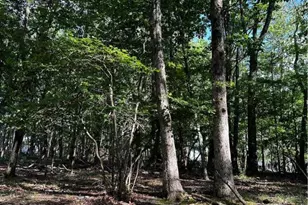 September Circle, East Stroudsburg, PA 18301 - Photo 9