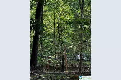 September Circle #Lot 46, East Stroudsburg, PA 18301 - Photo 5