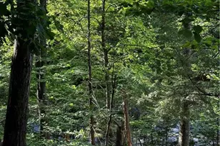 September Circle, East Stroudsburg, PA 18301 - Photo 5