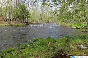 Lot 282 Saunders Ct, Lehman Twp, PA 18324 - Photo 19