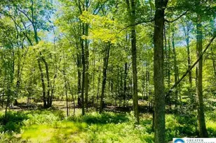 274 Hillary Dr W, Luzerne, PA 18224 - Photo 23