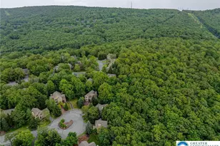 153 Pine Ct, Jackson Twp, PA 18372 - Photo 43