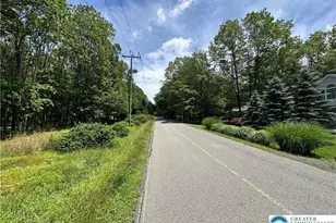 0 Hunter Ln, Penn Forrest, PA 18210 - Photo 7