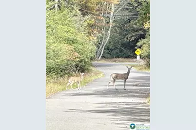 0 Hunter Lane, Penn Forrest, PA 18210 - Photo 1