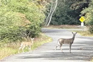 0 Hunter Ln, Penn Forrest, PA 18210 - Photo 1