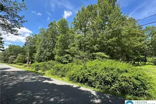 0 Hunter Ln, Penn Forrest, PA 18210 - Photo 5