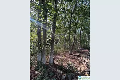 Lot F534 Pinoak Drive, Penn Forrest, PA 18229 - Photo 3