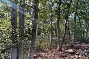 Lot F534 Pinoak Dr, Penn Forrest, PA 18229 - Photo 3