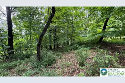 305 Shawnee Avenue, Easton, PA 18042 - Photo 3