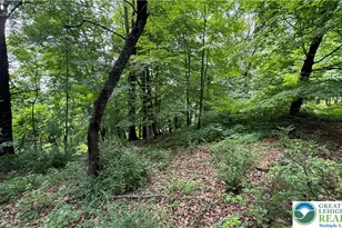 305 Shawnee Ave, Easton, PA 18042 - Photo 3