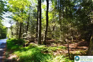 N Church and Buck Mountain Rd, Lehigh Twp, PA 18255 - Photo 5