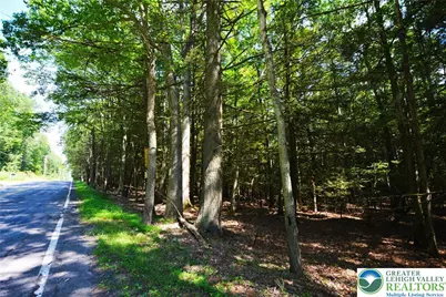 N Church and Buck Mountain Road, Lehigh Twp, PA 18255 - Photo 3