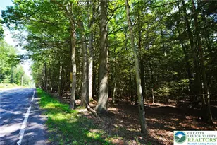 N Church and Buck Mountain Rd, Lehigh Twp, PA 18255 - Photo 3