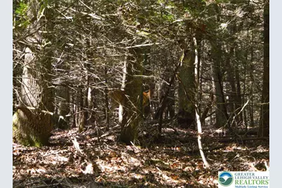 N Church and Buck Mountain Road, Lehigh Twp, PA 18255 - Photo 7