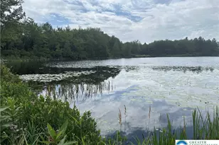 Sylvan Ln, Coolbaugh Twp, PA 18346 - Photo 7