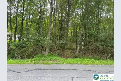 Sylvan Lane, Coolbaugh Twp, PA 18346 - Photo 1