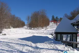 3205 Ely Ct, Lehman Twp, PA 18324 - Photo 77