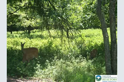 197 Hickory Run Lane, Penn Forrest, PA 18229 - Photo 1