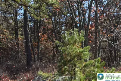 Buck Mountain Boulevard, Luzerne, PA 18202 - Photo 3