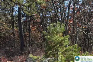 Buck Mountain Blvd, Luzerne, PA 18202 - Photo 3