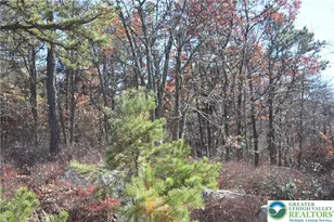 Buck Mountain Blvd, Luzerne, PA 18202 - Photo 17