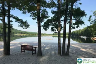 Buck Mountain Blvd, Luzerne, PA 18202 - Photo 11